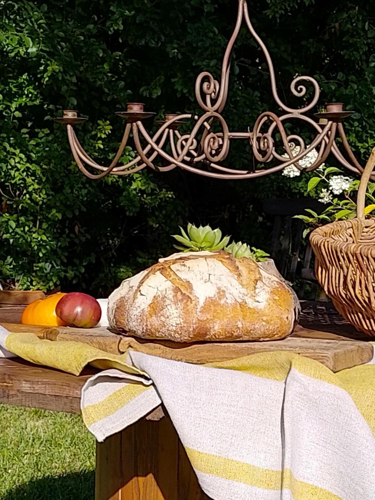 Bastida De Beata Bed & Breakfast Noailles  Exterior foto