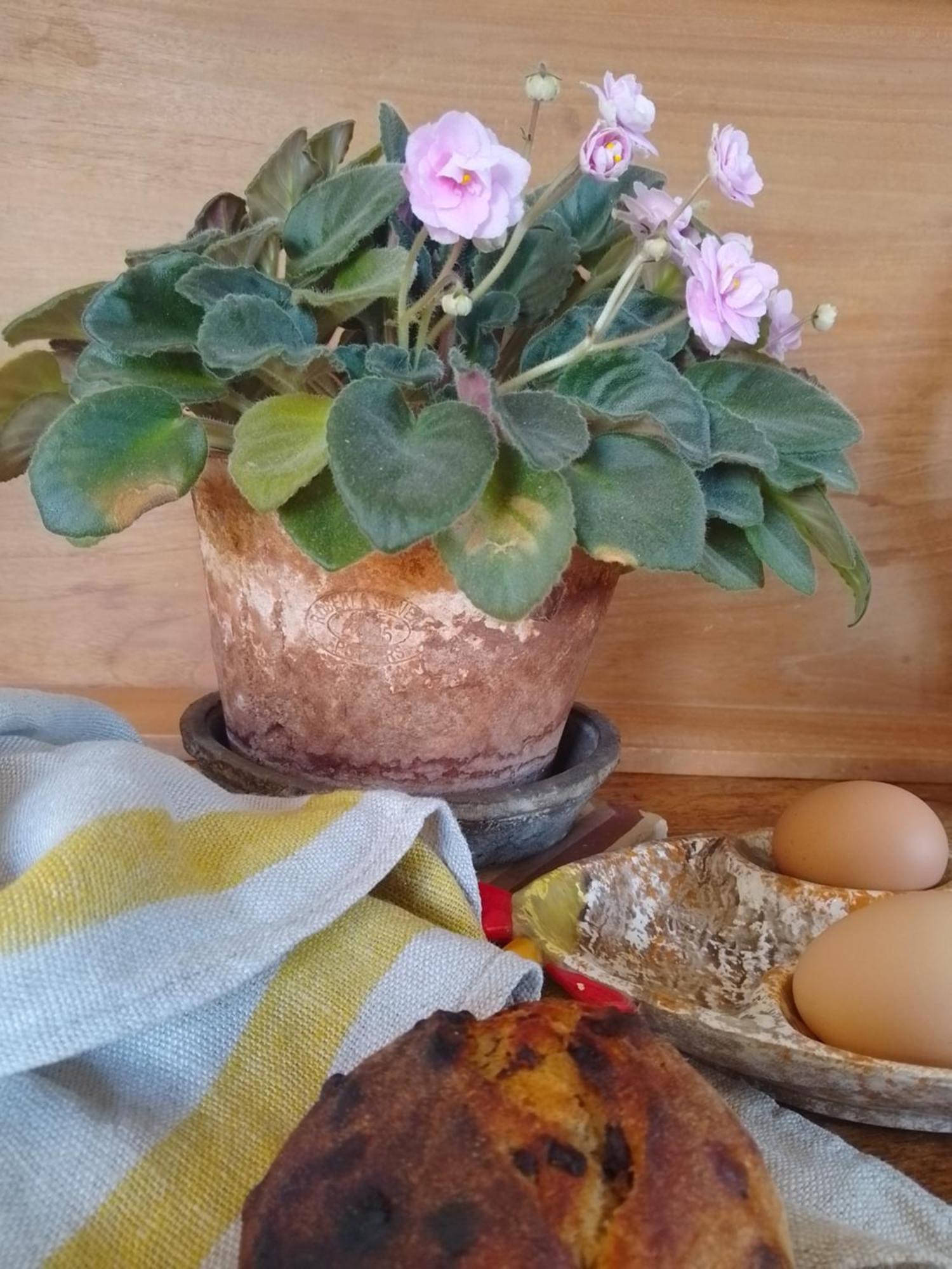 Bastida De Beata Bed & Breakfast Noailles  Exterior foto